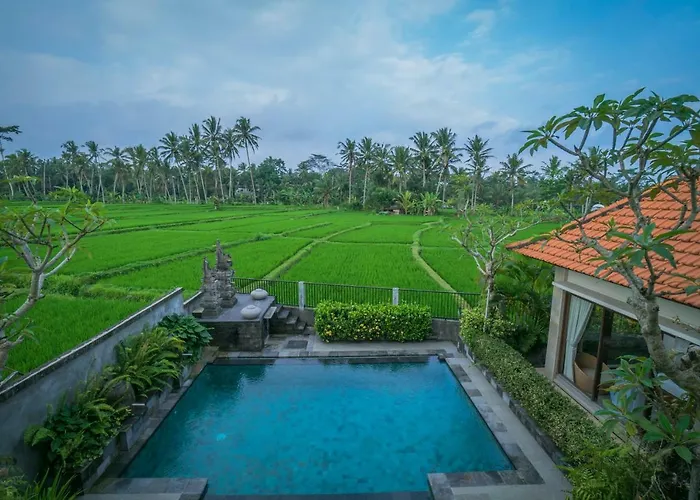 Guest house Bendito Ubud (Bali)